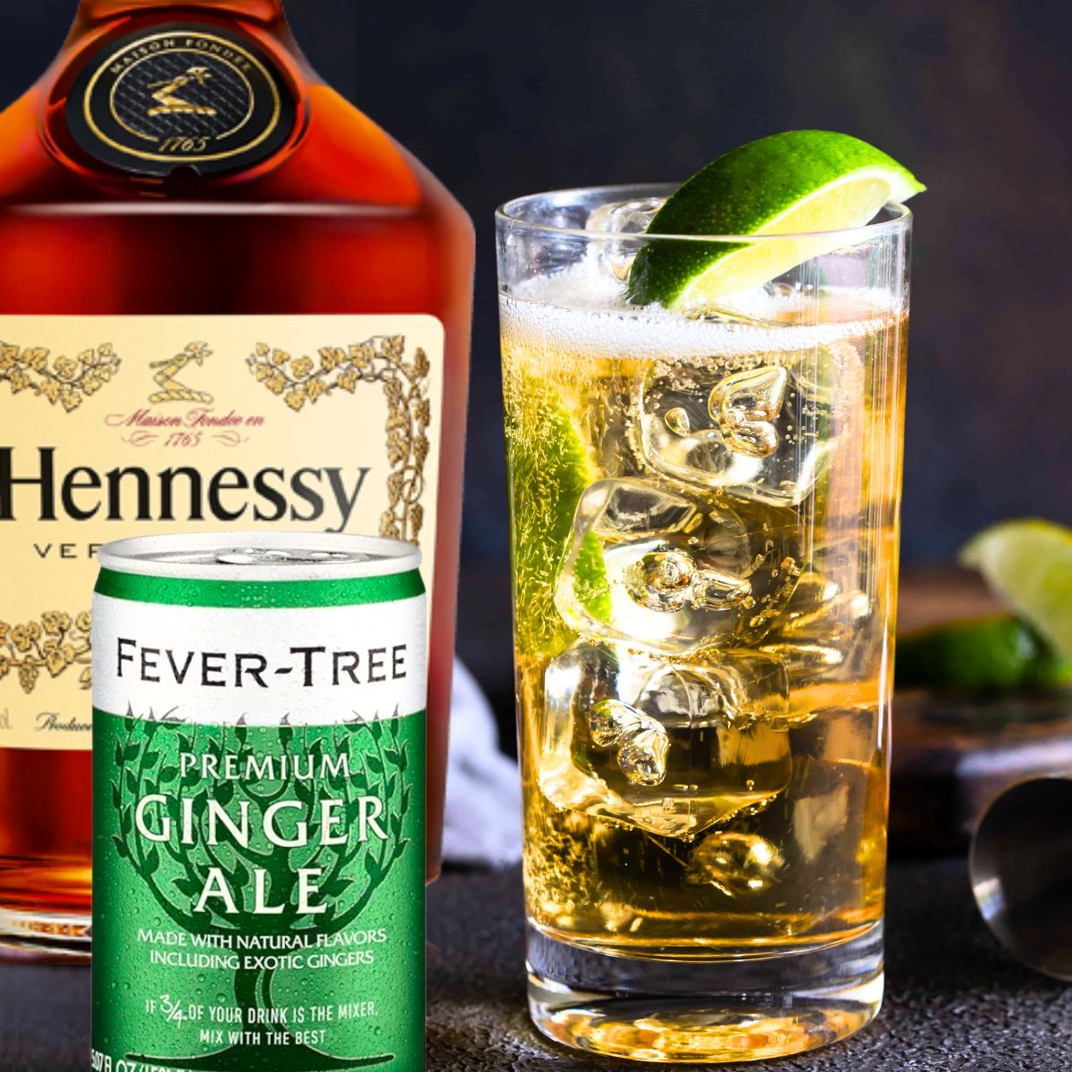 Hennessy and Ginger Ale Cocktail Recipe – Recipes & Cocktails